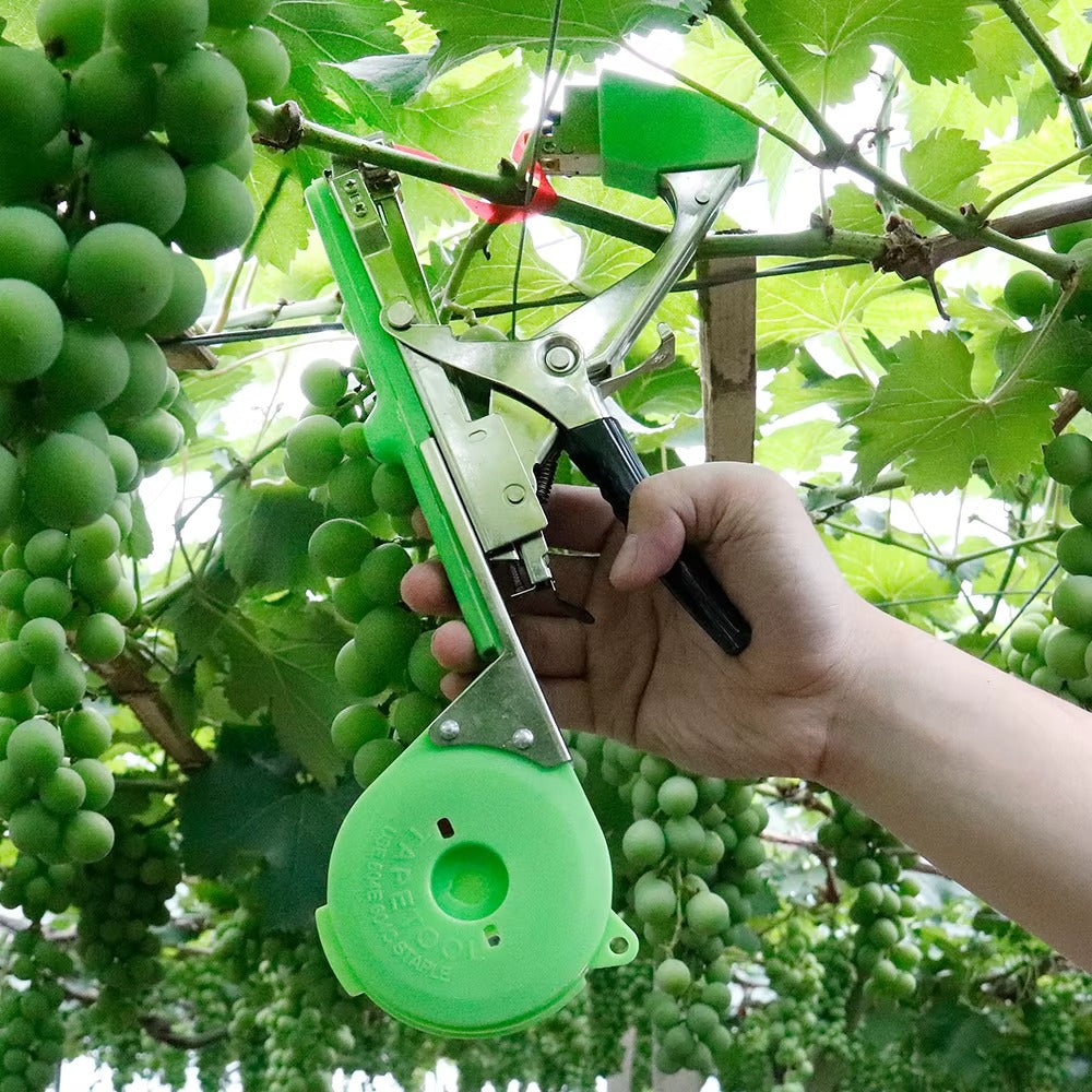 Aparat Profesional pentru Legat Vita de Vie cu 10 Role Banda si 10.000 Capse, Usor de Folosit, Rapid si Eficient pentru Gradina si Agricultura